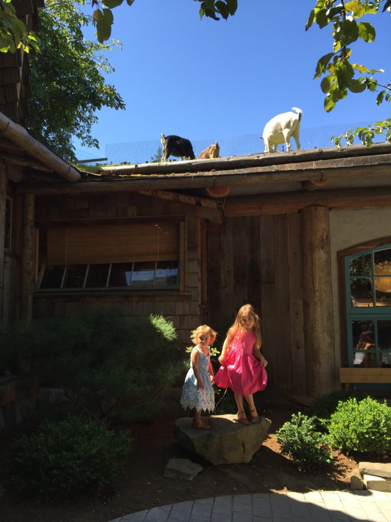 Goats on a Roof. Coombs, Vancouver Island